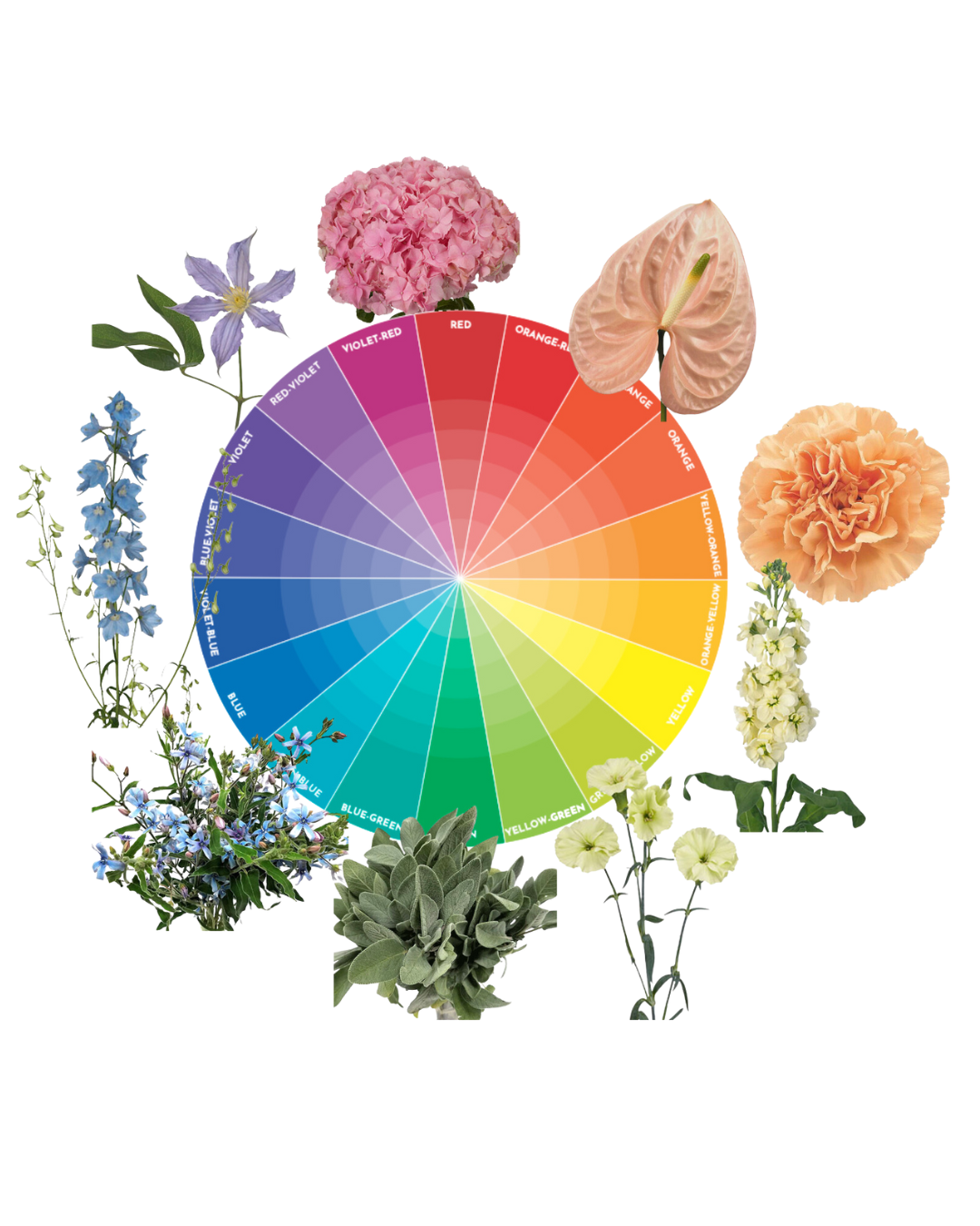 Color theory confidence