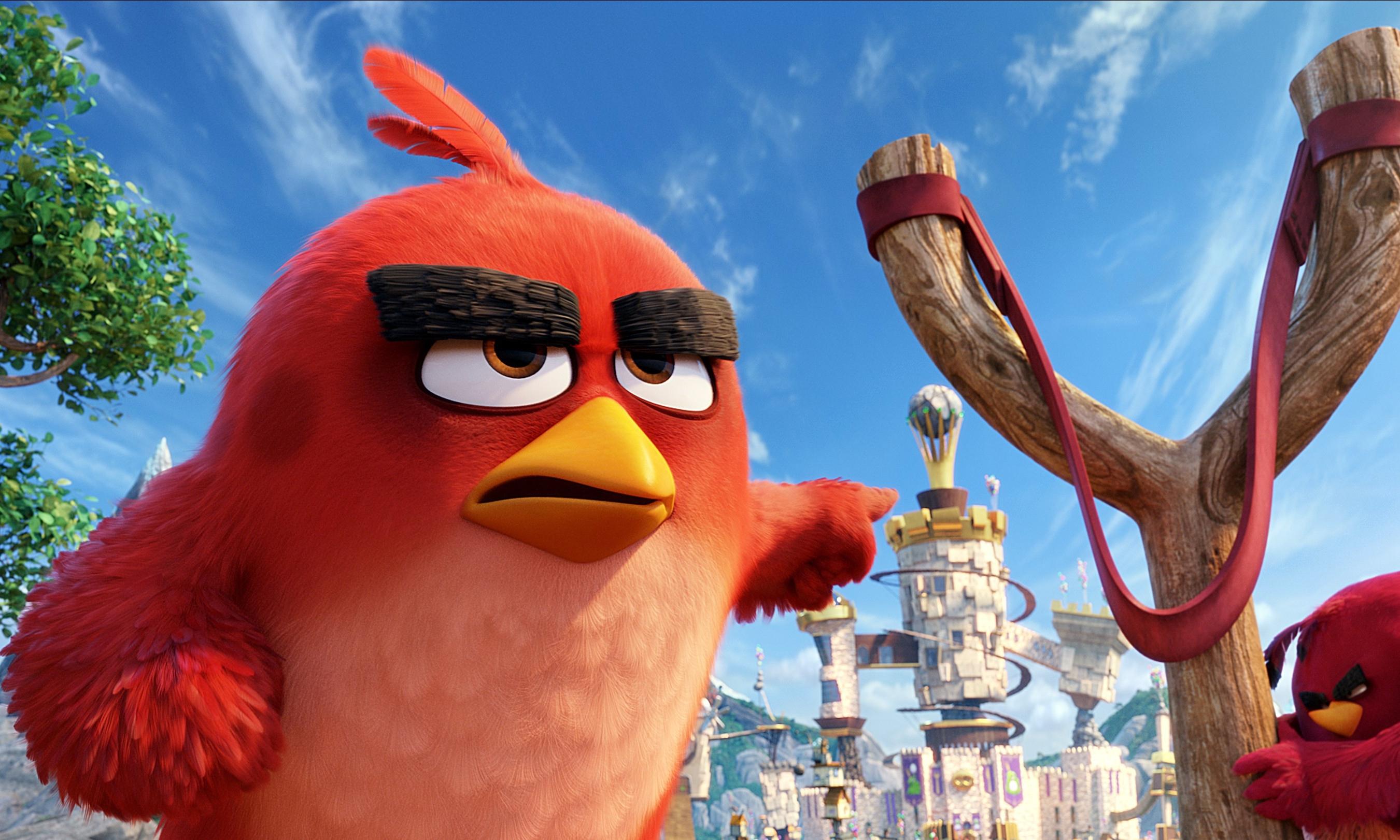The angry birds movie hd hd movies k wallpapers images backgrounds photos and pictures