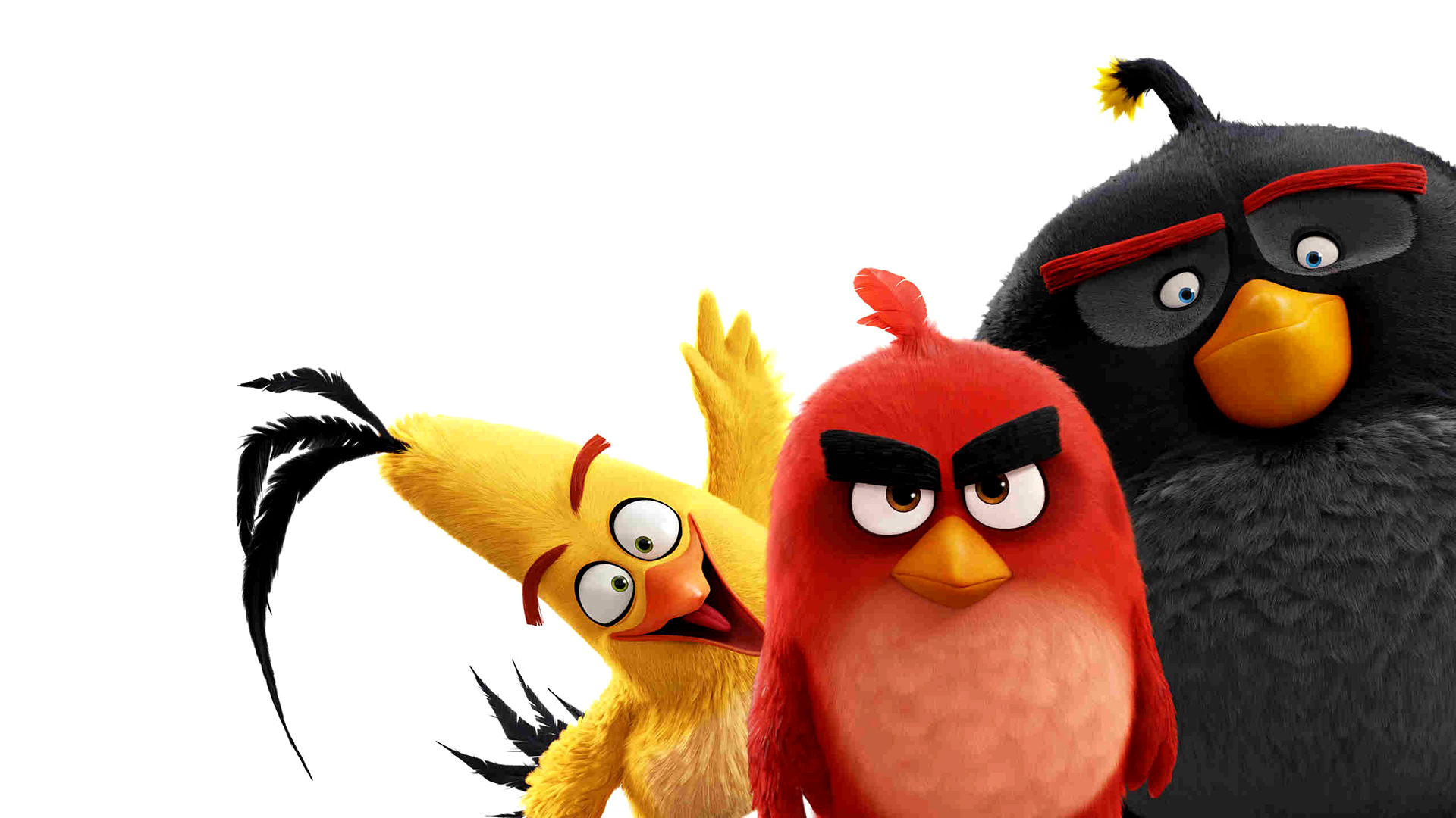 The angry birds movie hd paper