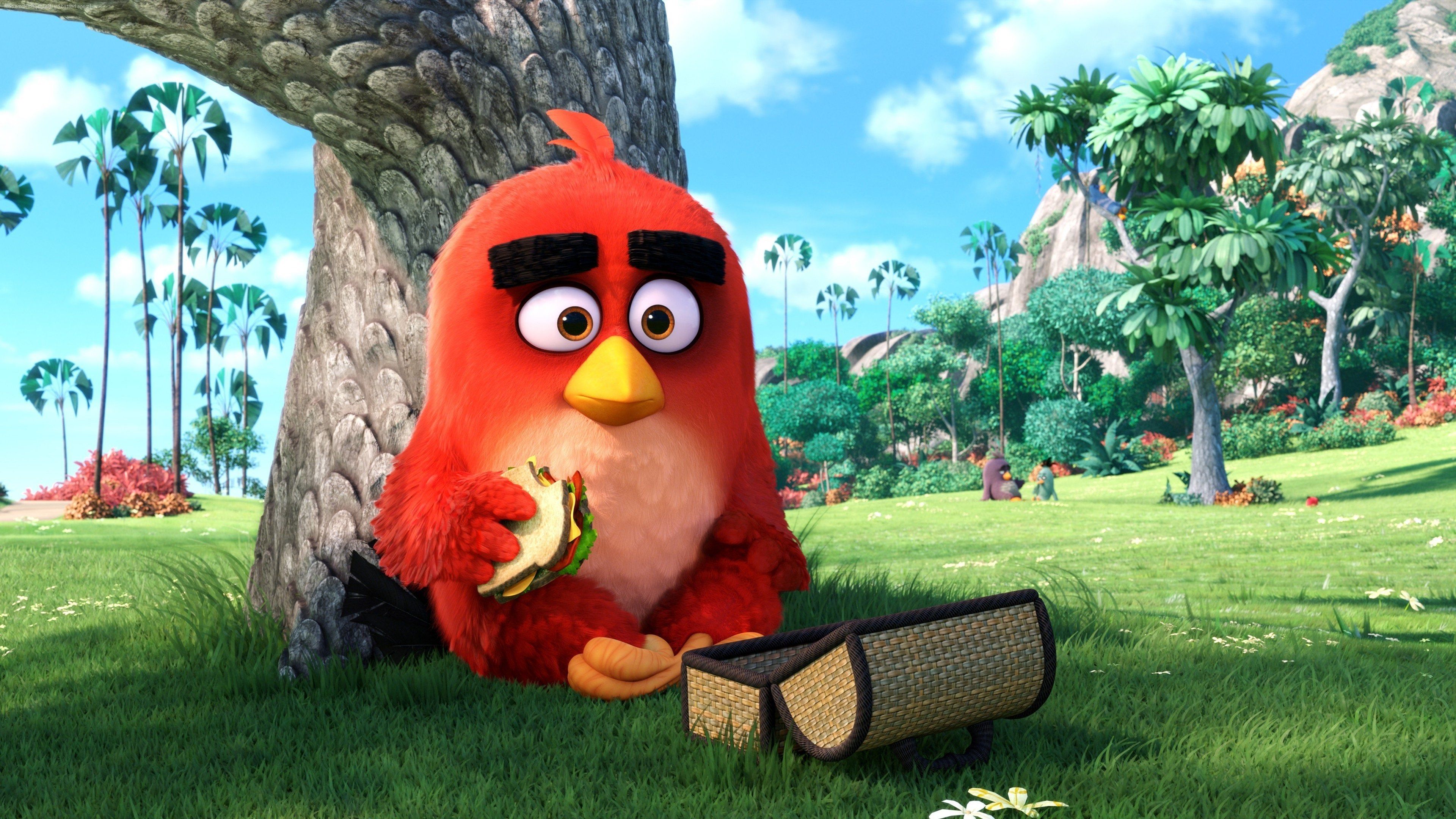 X angry birds k hd wallpaper high defition angry bird pictures angry birds bird wallpaper