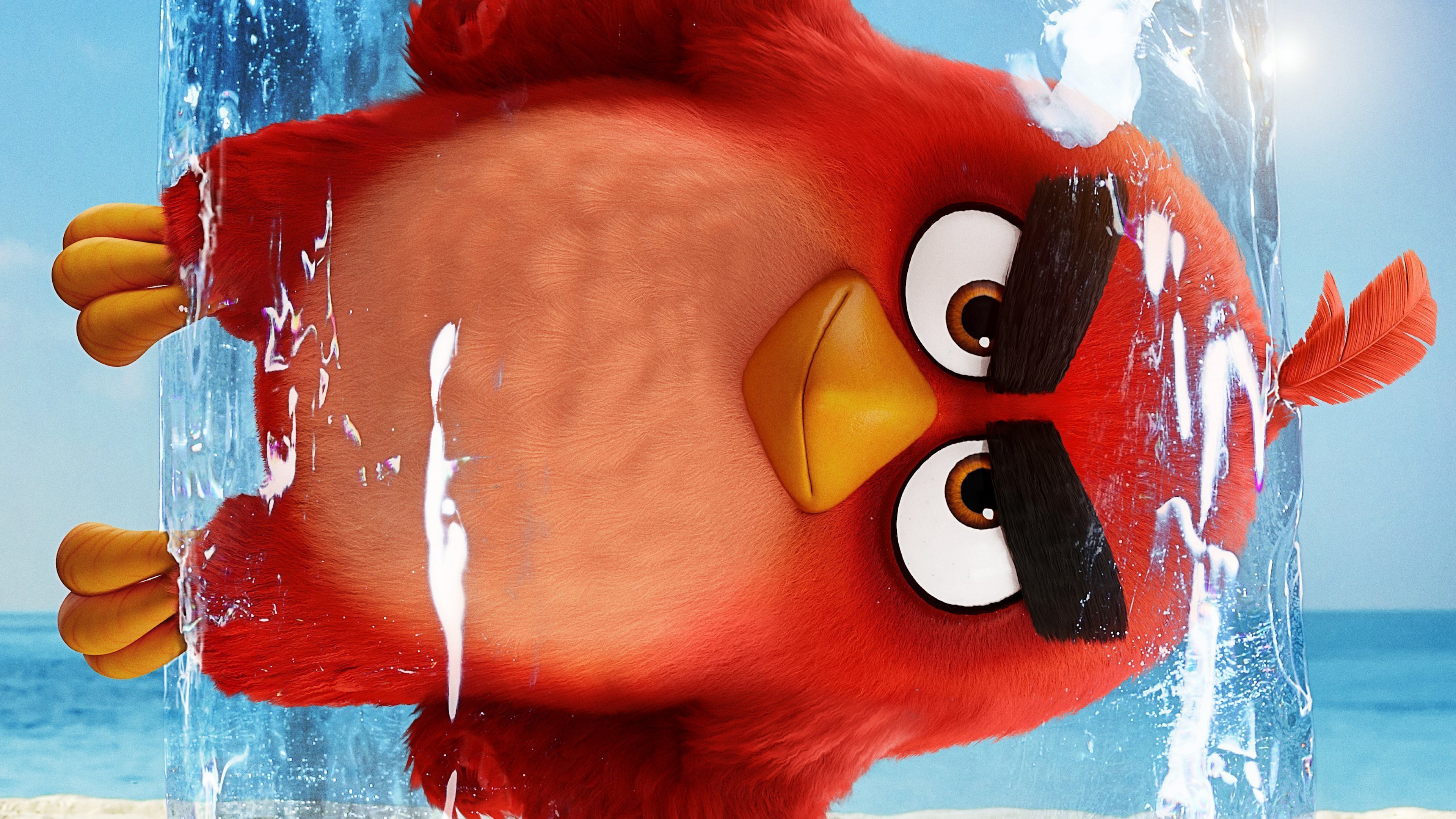 The angry birds movie wallpaper k ultra hd id