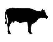 Cow silhouette svg clipart black white cow cricut digital download cow t shirt eps png dxf printable farm animal cow vector file