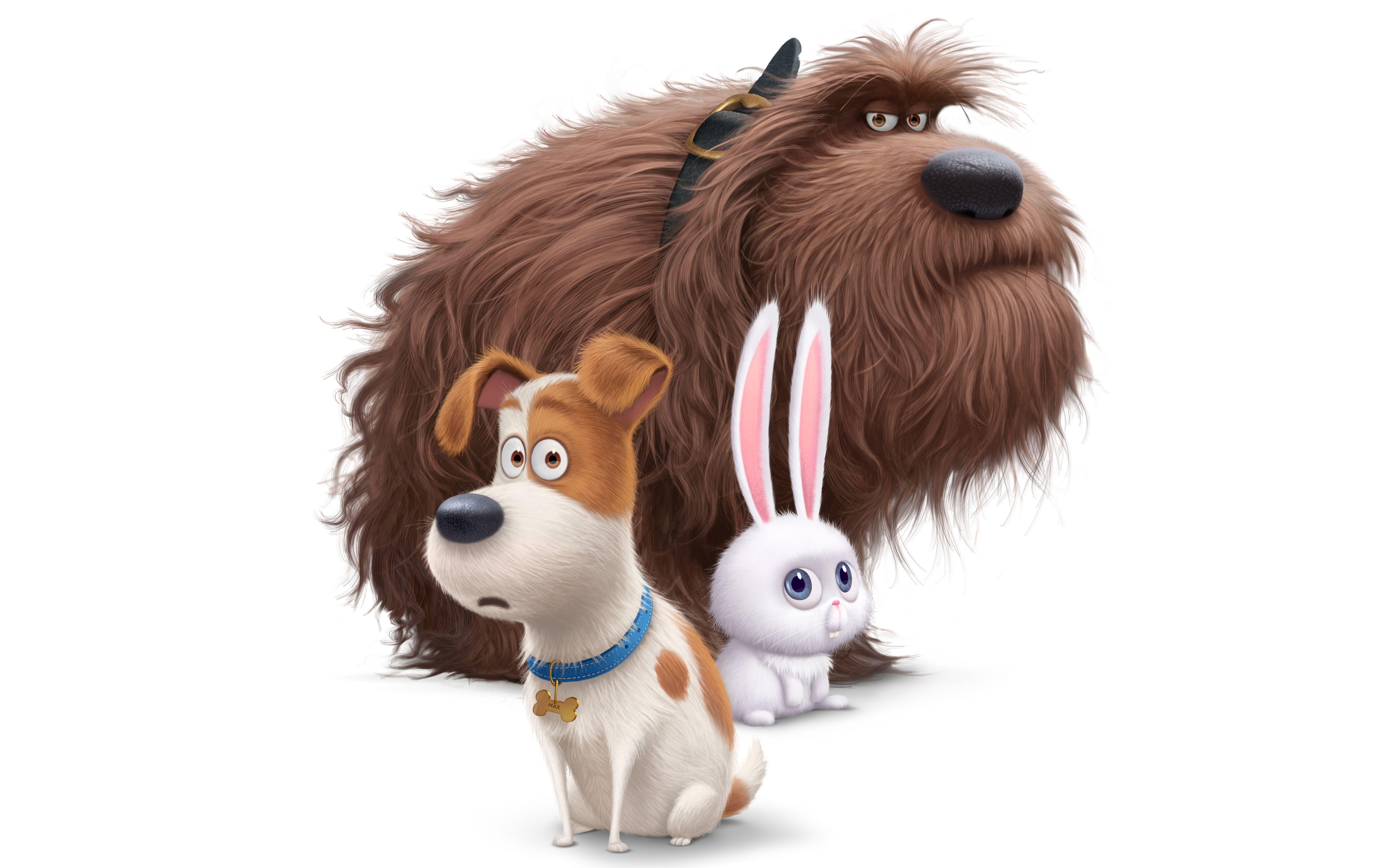 The secret life of pets wallpapers