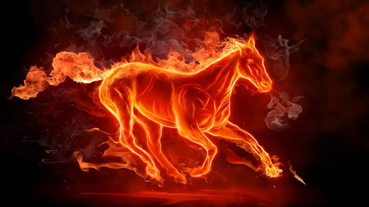 Fire horse animated wallpaper httpwwwdesktopanimated
