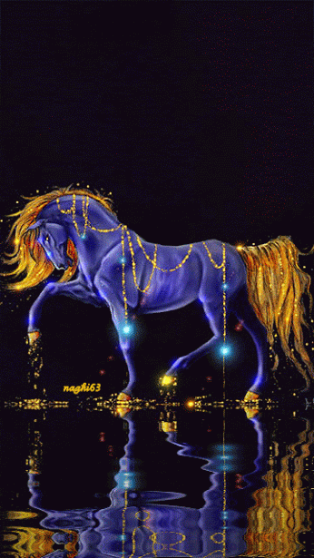 Horse hd wallpapers