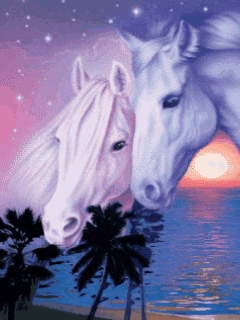Animed gifs animed wallpapers for cellphones horse wallpaper horses beautiful horse pictures
