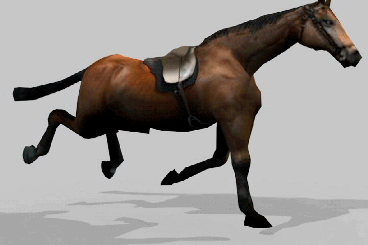 D animation horse animation by noctume on
