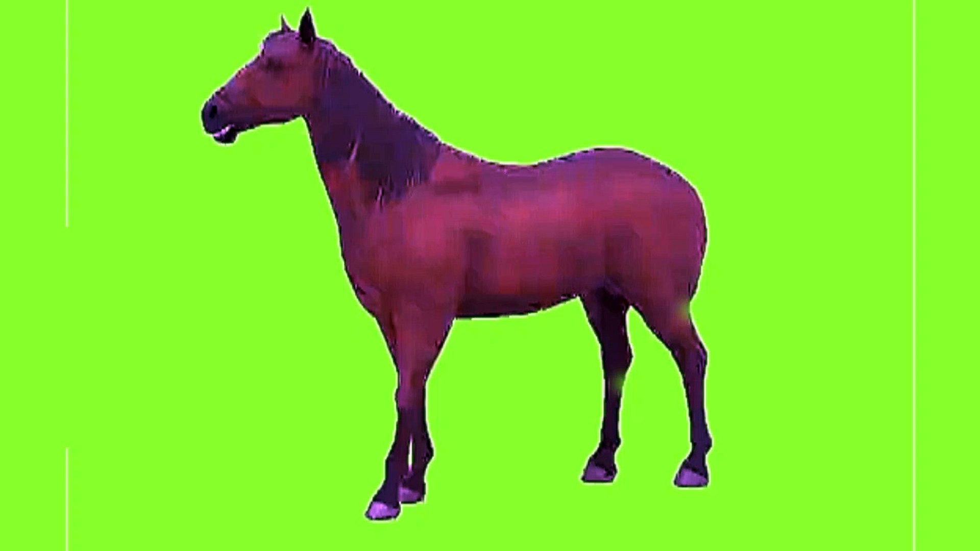 Animated horse green screen background horse green screen video standing animated horse green screen horse