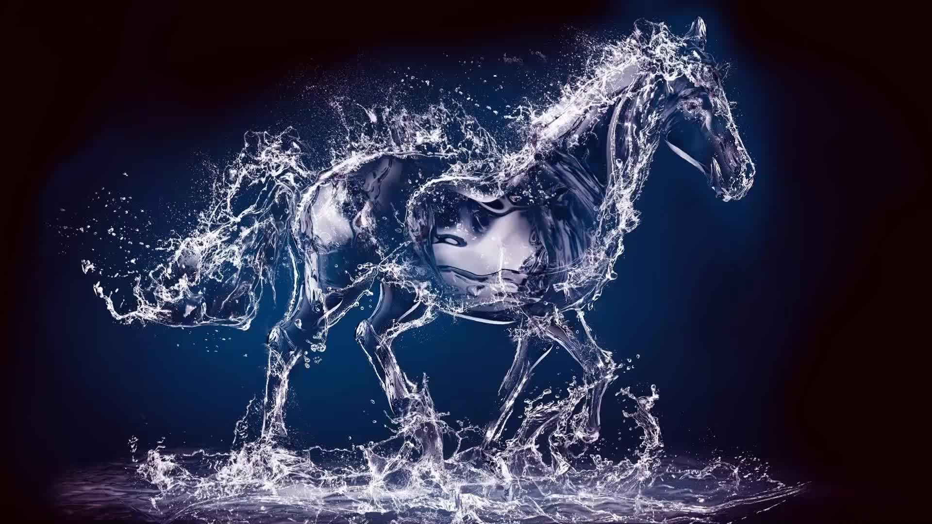 D water horse liquid