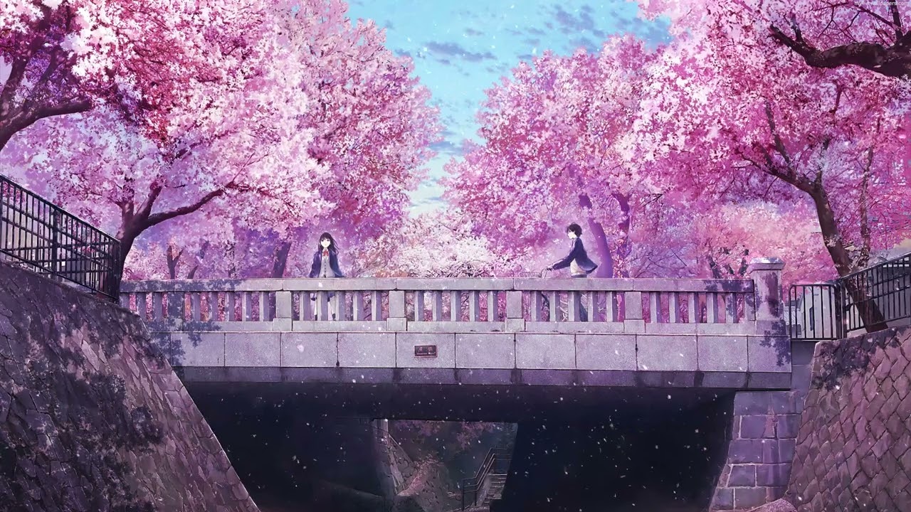 Cherry blossom anime bridge live wallpaper for pcmac free download k desktop screensaver
