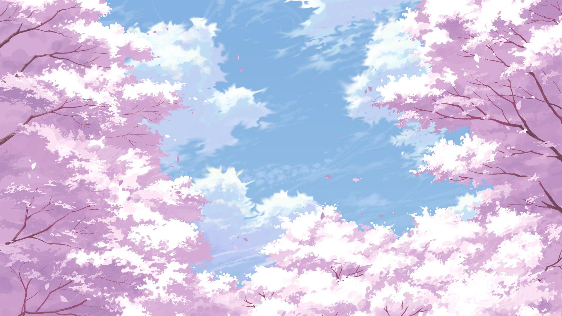 Cherry blossom anime wallpapers