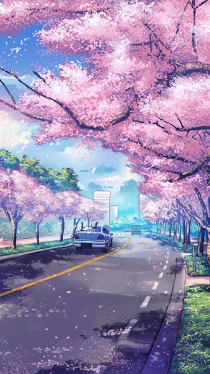 Anime cherry blossom scenery wallpaper by chickenman on