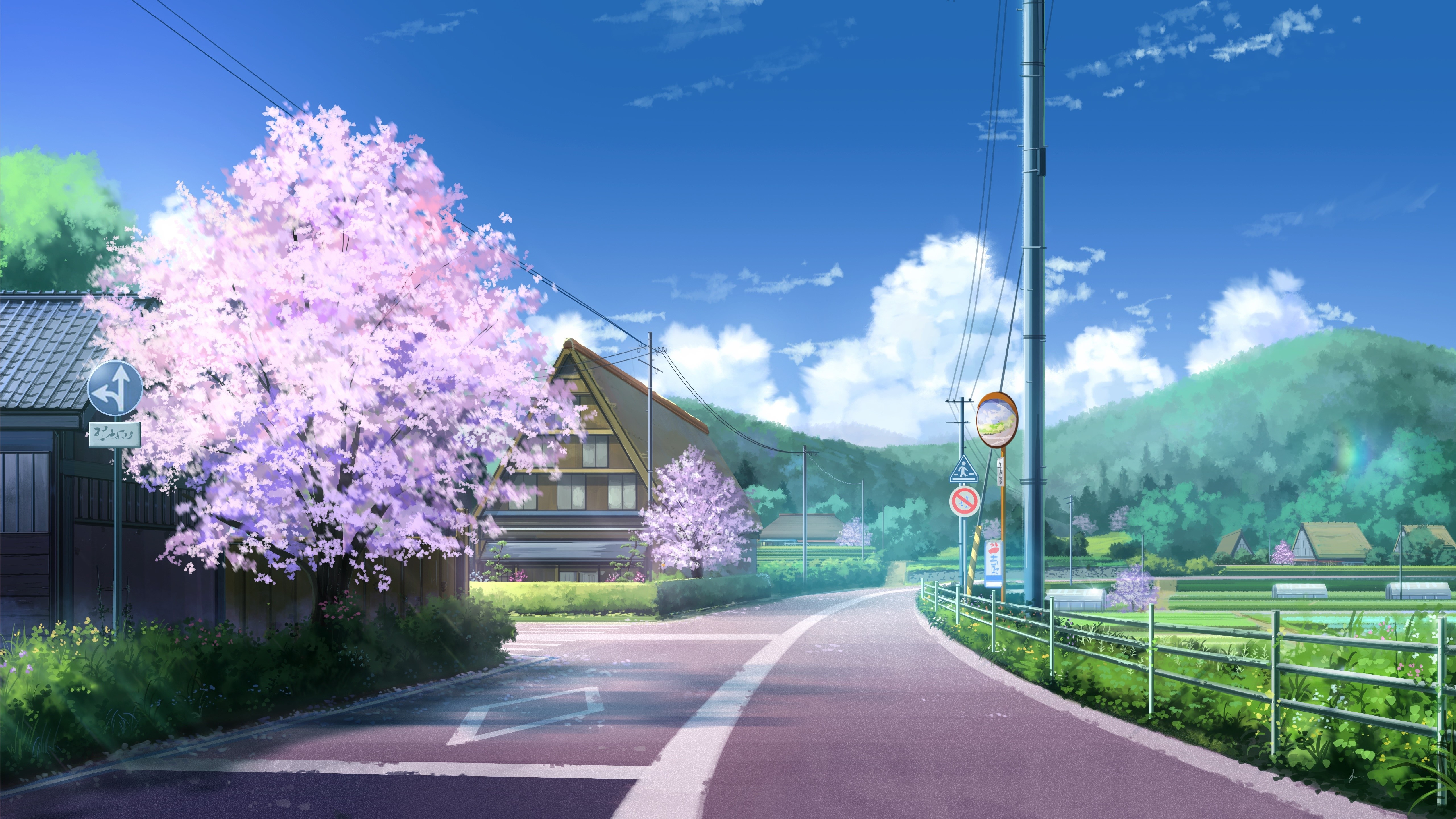 K cherry blossom town road anime landscape