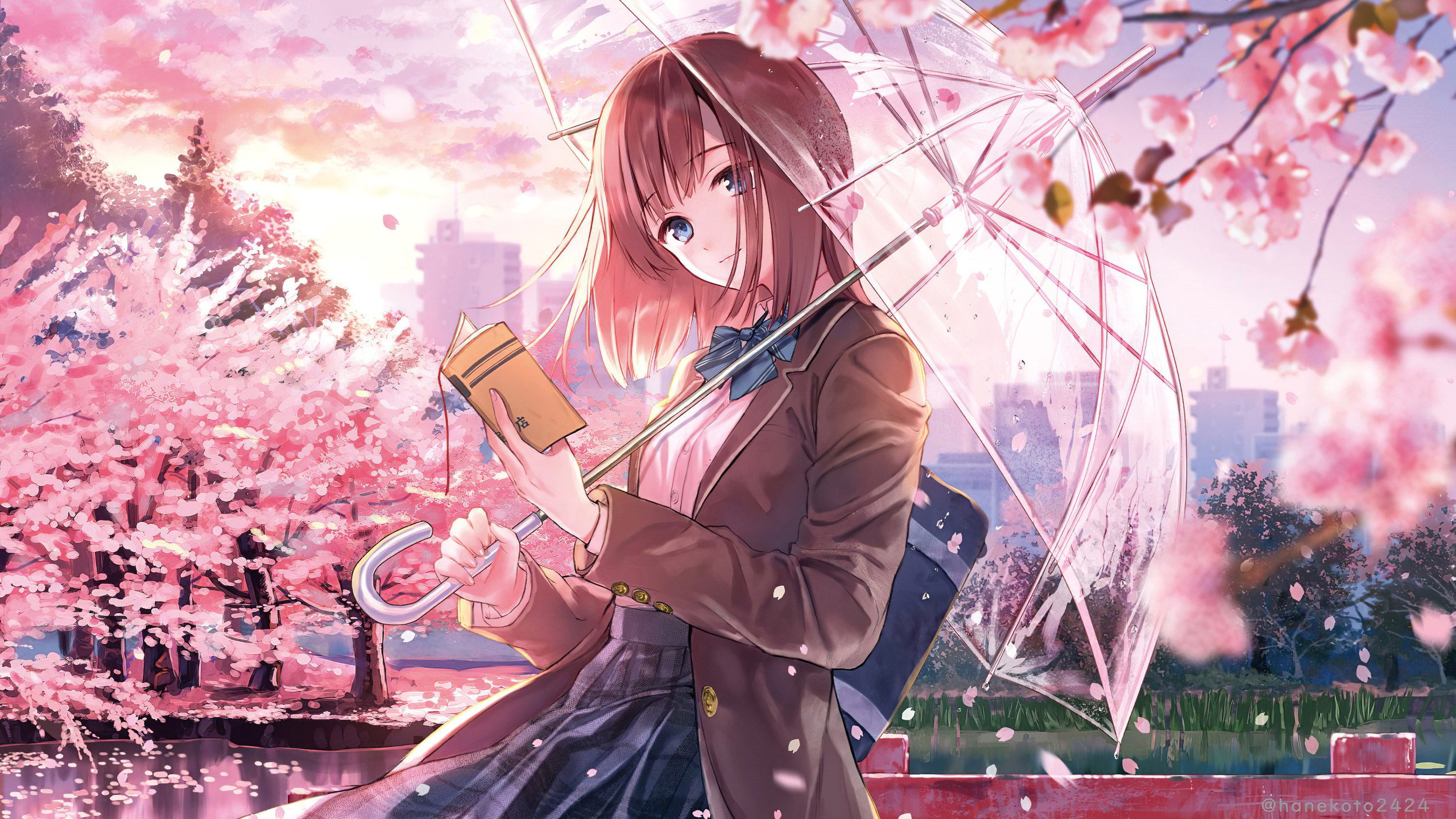 X anime girl cherry blossom season k p resolution hd k wallpapers images backgrounds photos and pictures