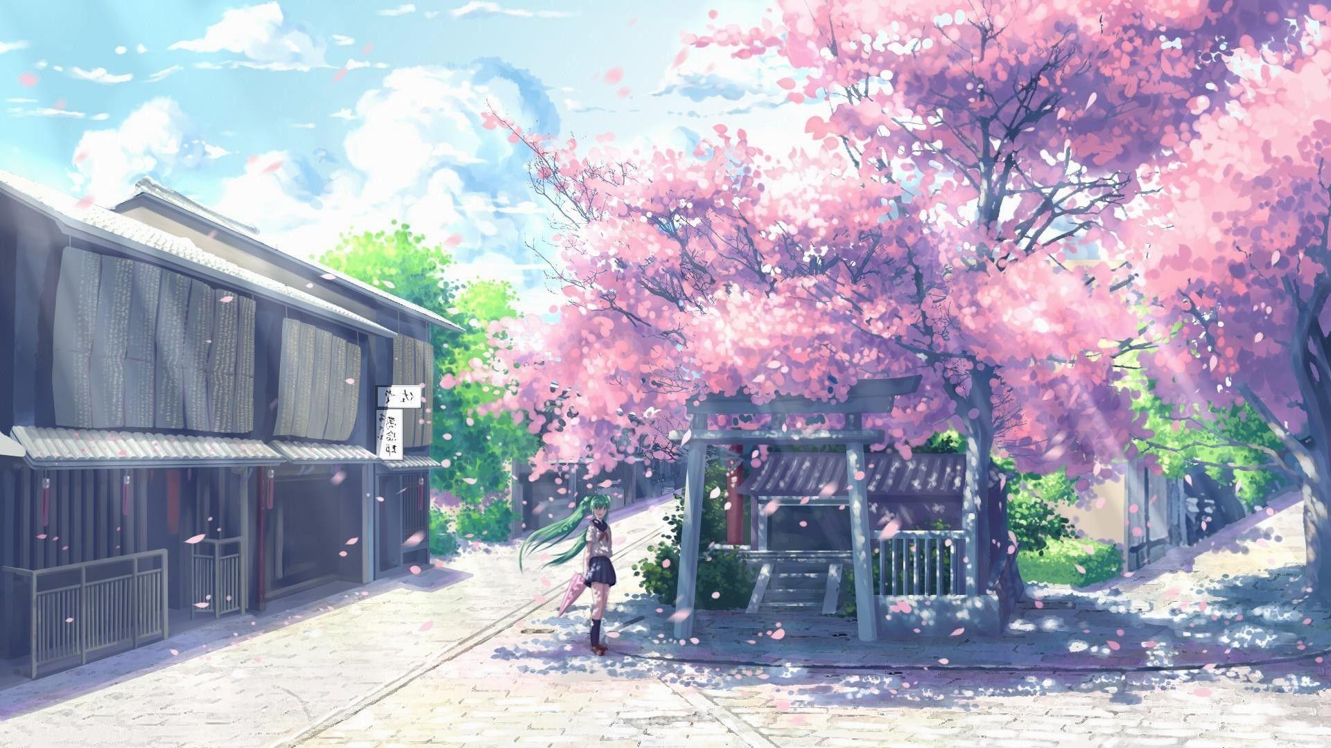 Anime cherry blossom hd wallpapers