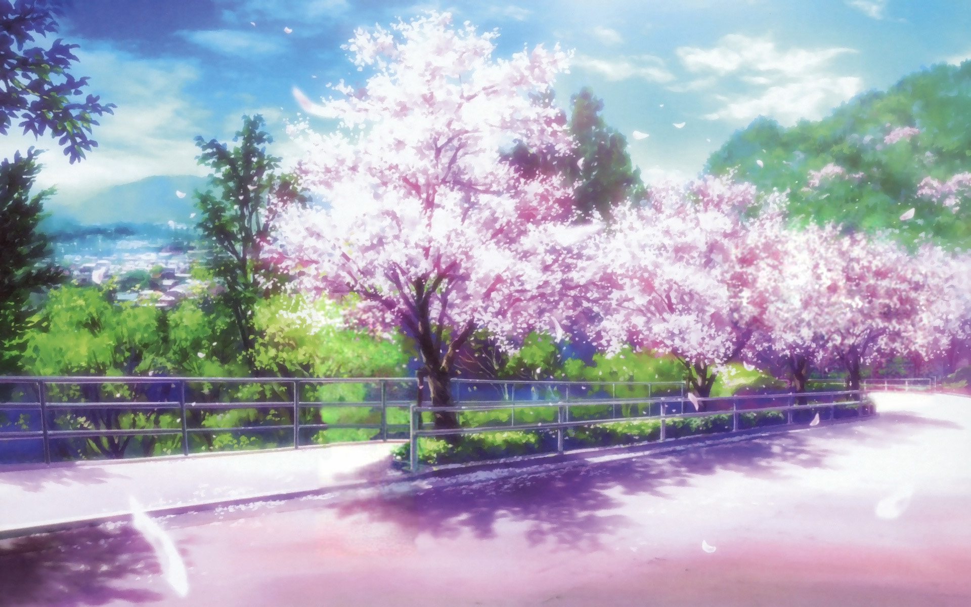 Anime cherry blossom desktop wallpaper