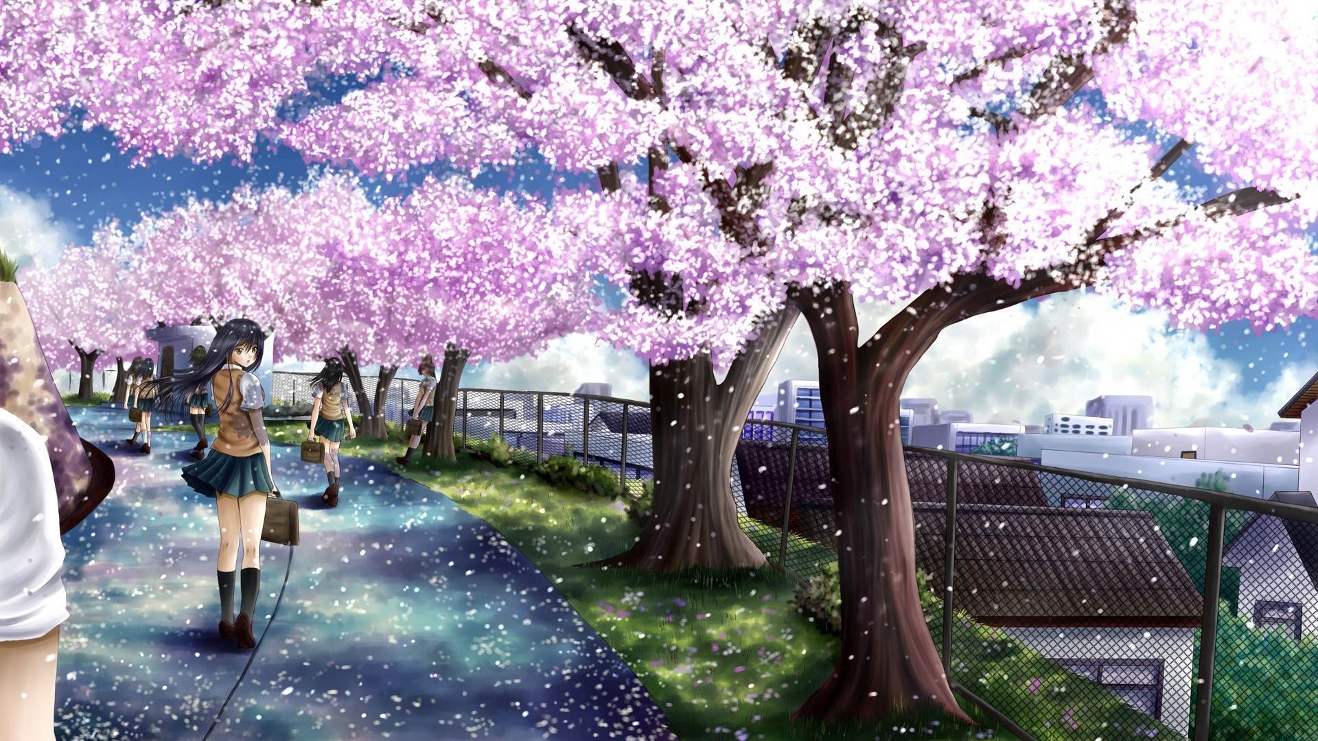 Cherry blossom anime wallpaper â