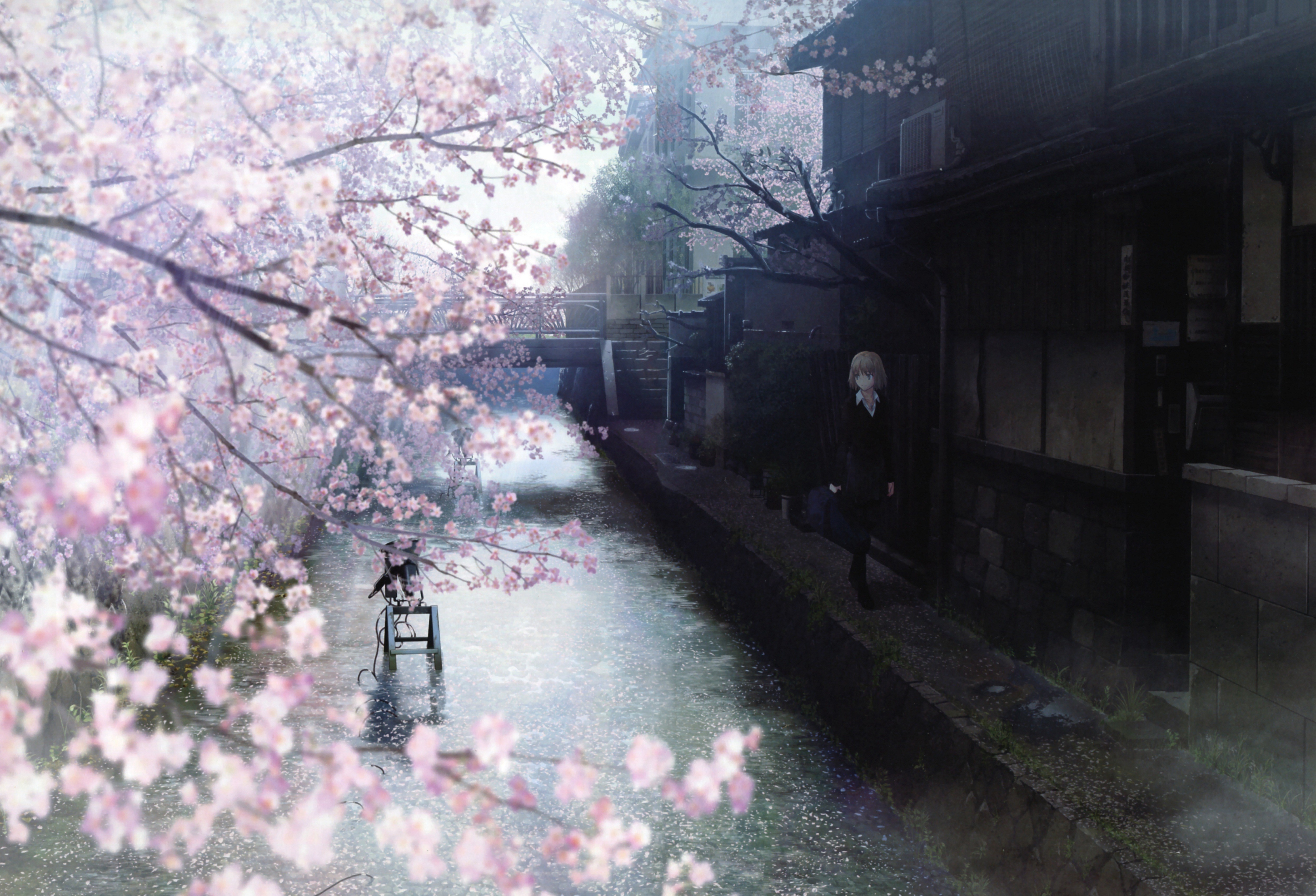 Wallpaper id animation anime anime girls cherry blossom town water free download