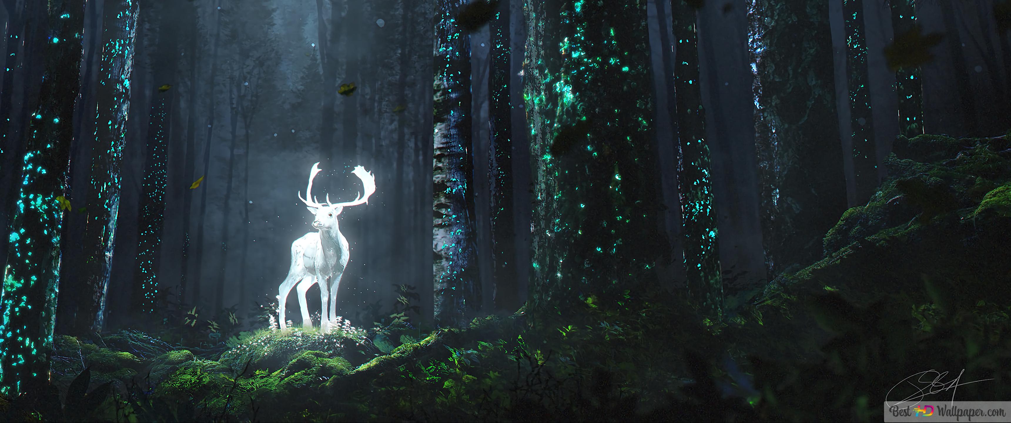 Deer forest night k wallpaper download