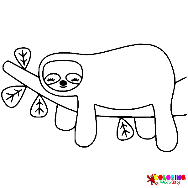 Sloth coloring pages