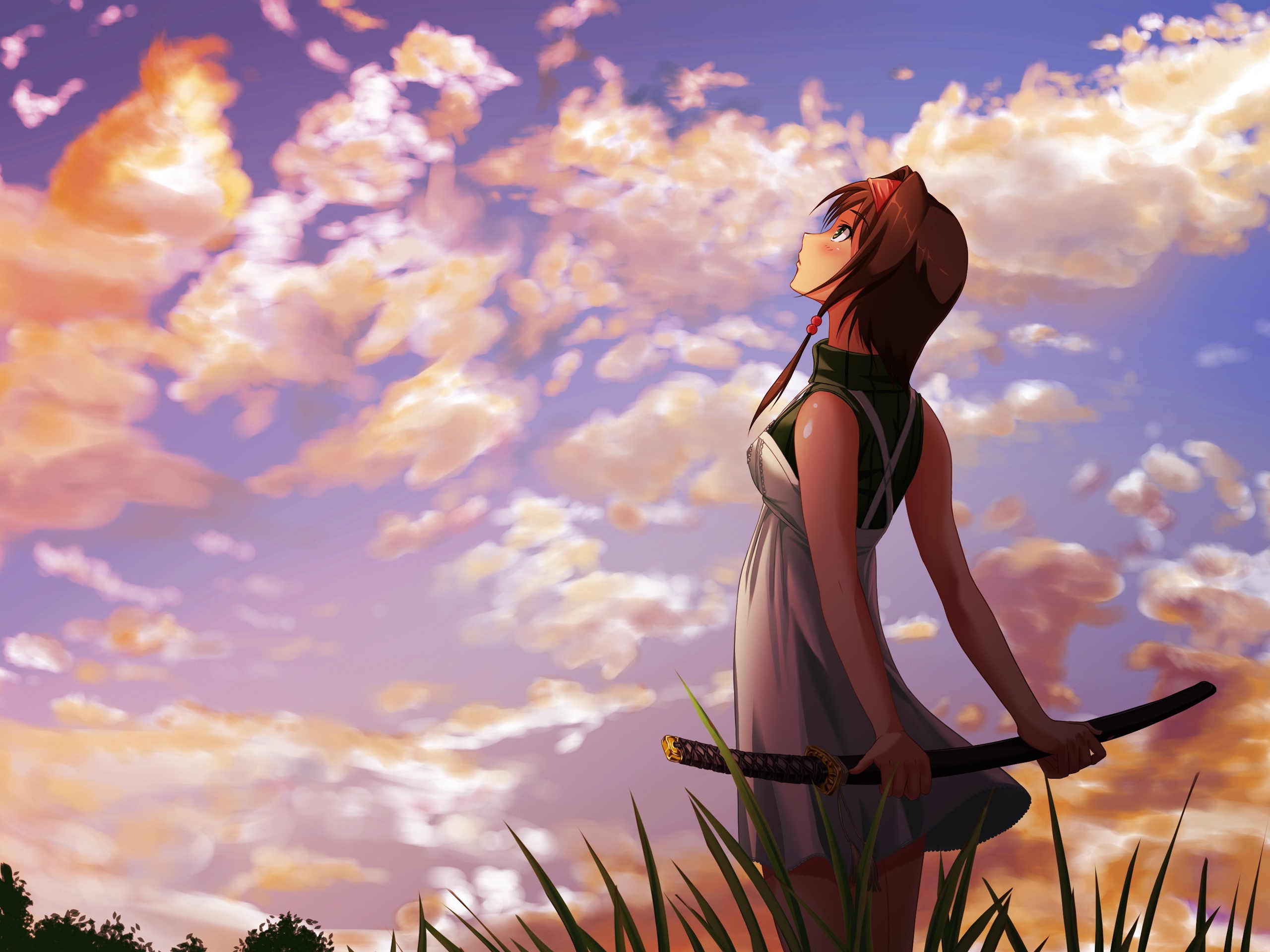 Wallpaper anime girl look at sky katana clouds sunset x hd picture image