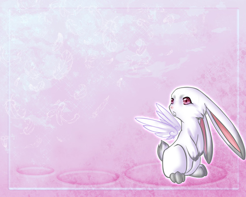 Free heartwarming rabbit wallpapers naldz graphics