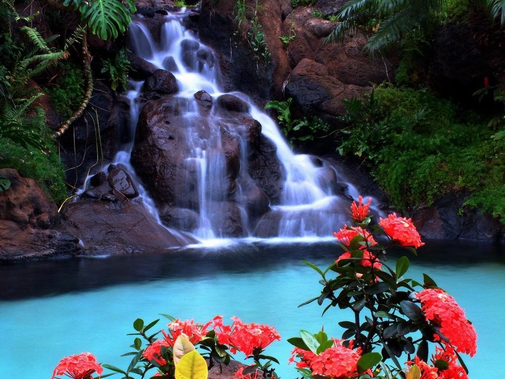 Tropical waterfall wallpapers