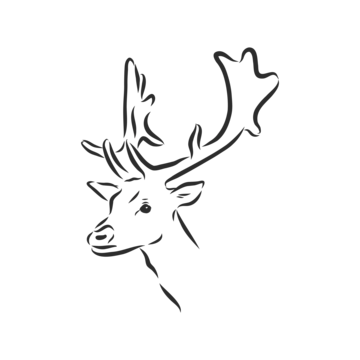 Realistic deer drawing png transparent images free download vector files