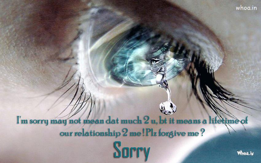 Im sorry beautiful quotes with bule eyes background wallpaper