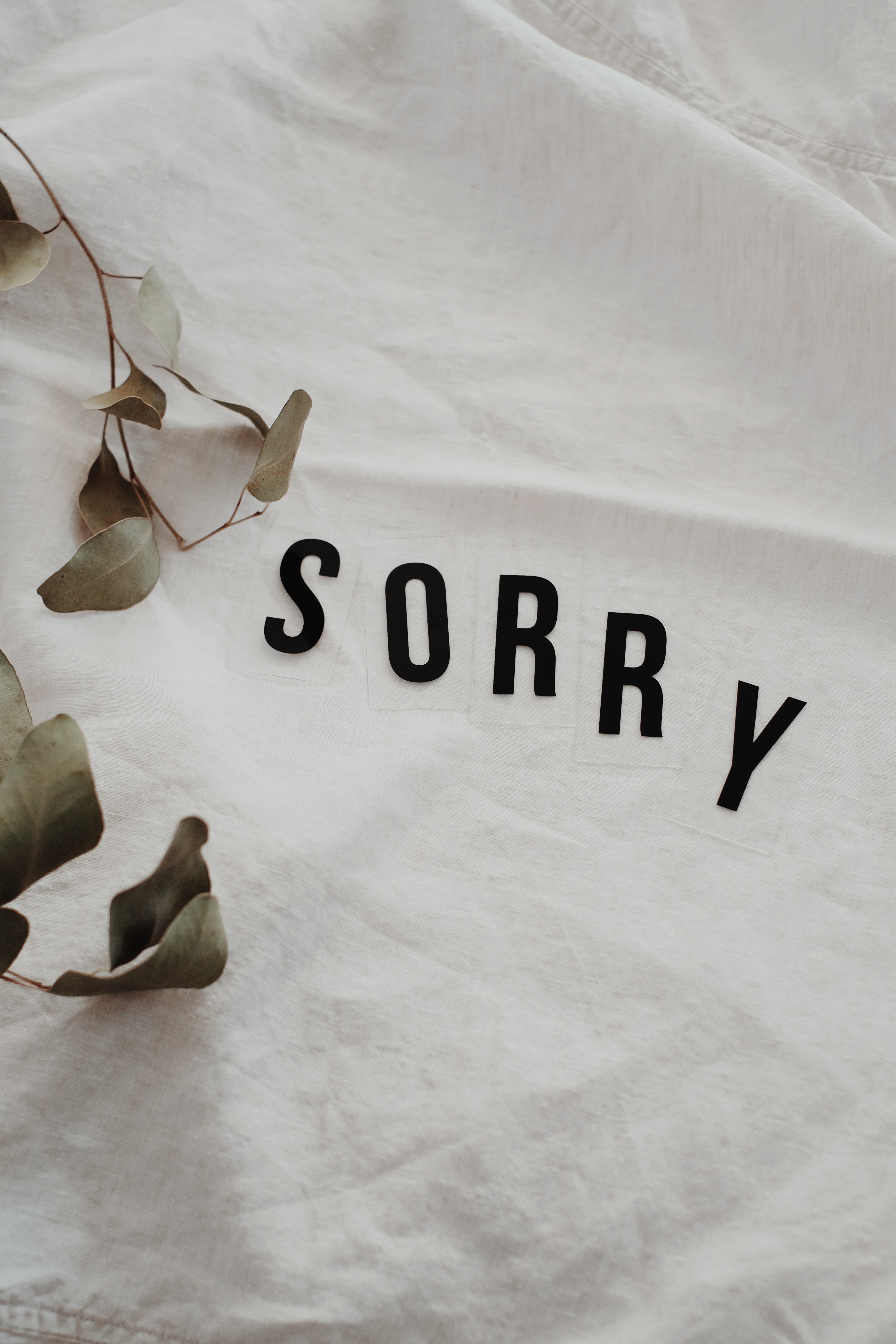 Apology photos download the best free apology stock photos hd images