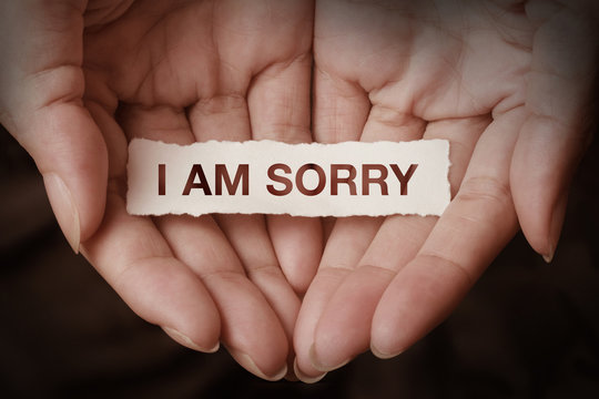 Apologize images â browse photos vectors and video