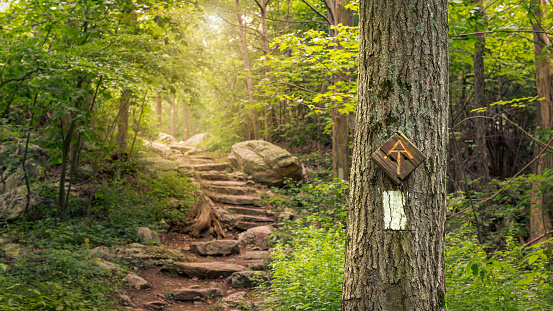 Appalachian trail pictures download free images on