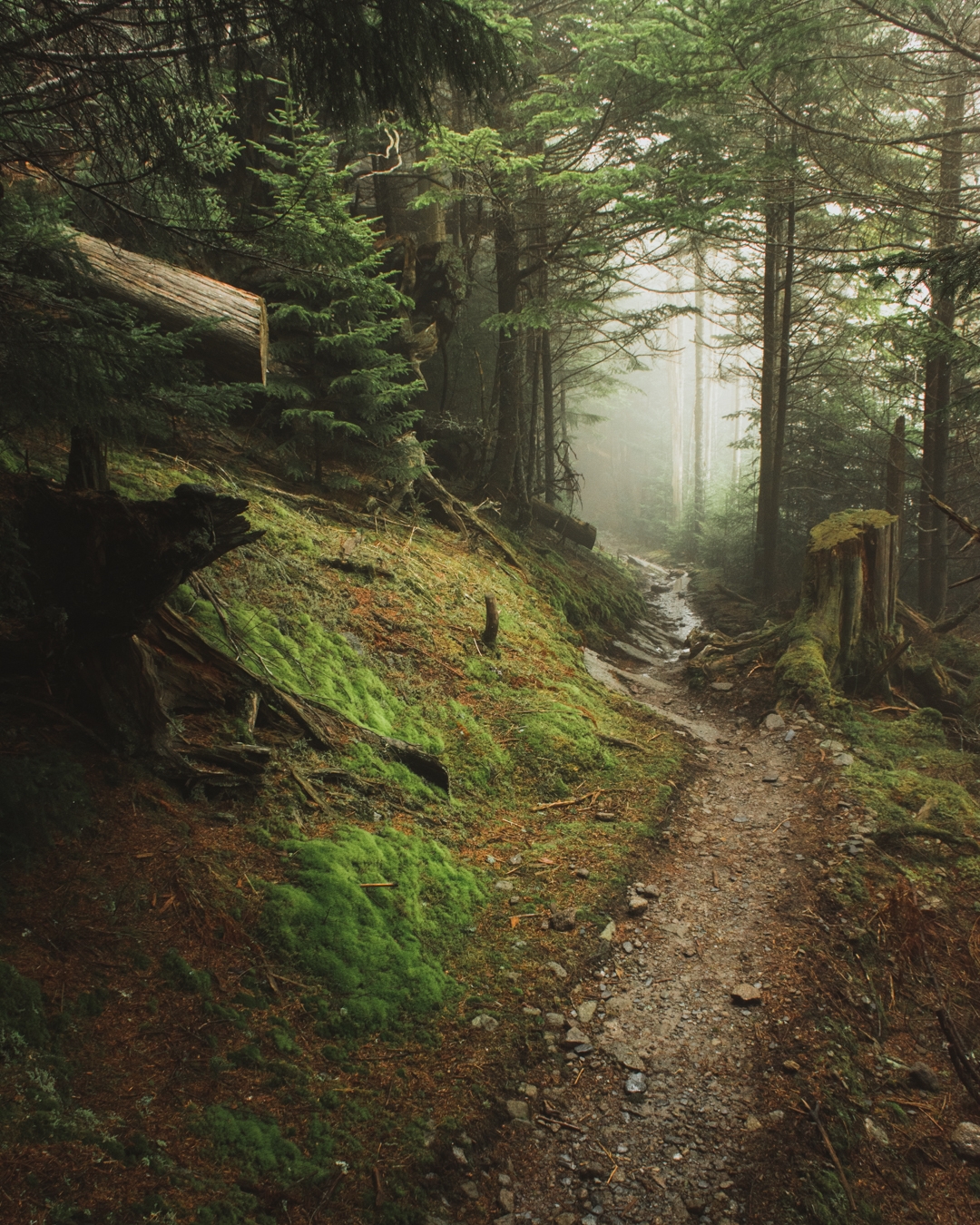 A photographers favorite images from the appalachian trail