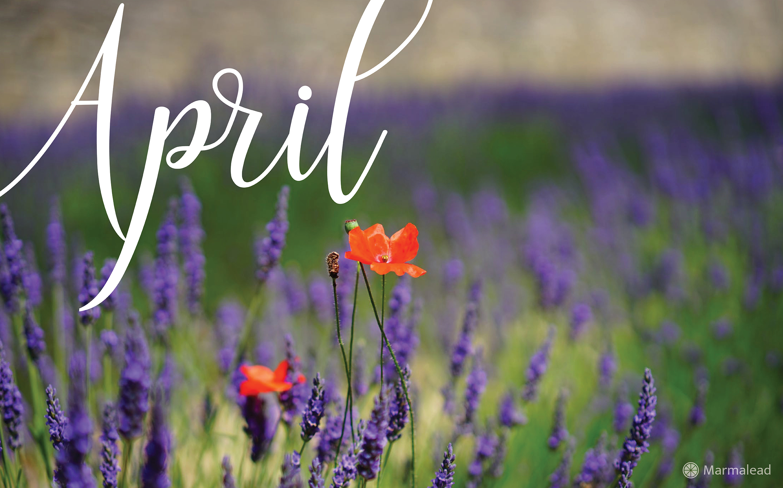 April free desktop calendarwallpaper from