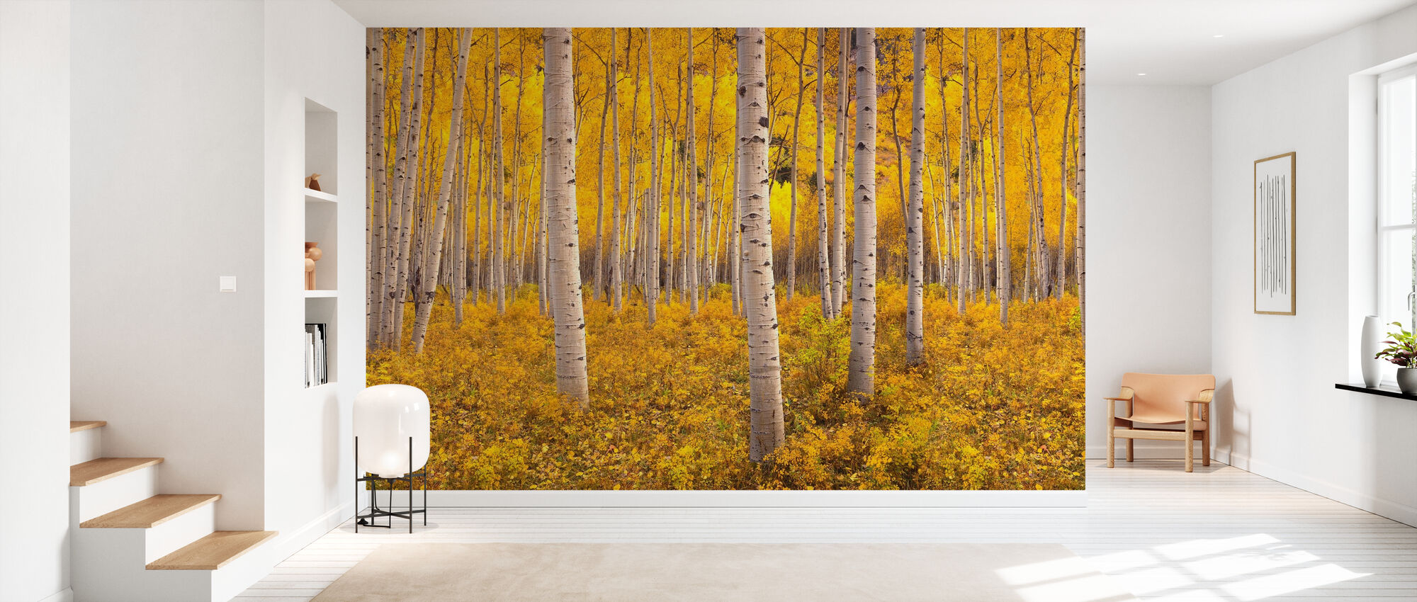 Aspen tree forest â affordable wall mural â