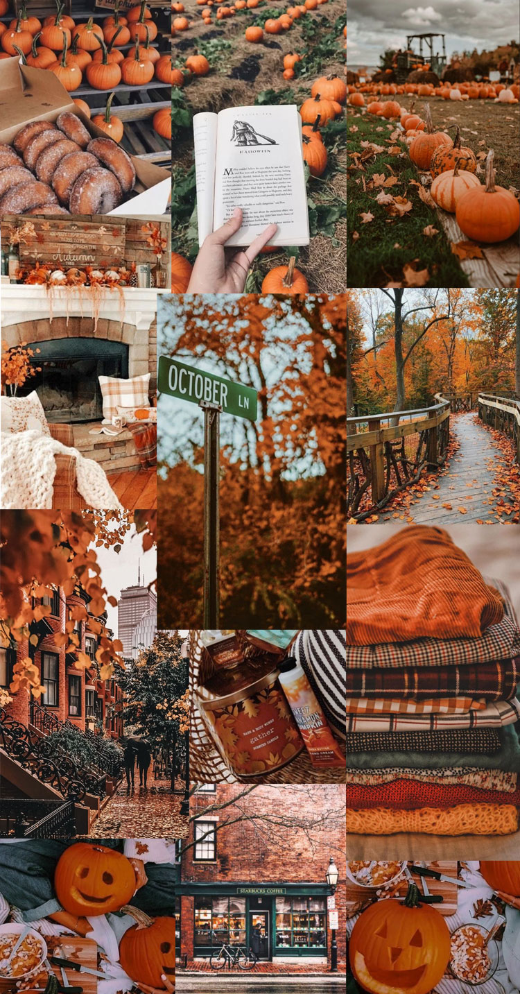 Autumn collage wallpapers autumn in the city