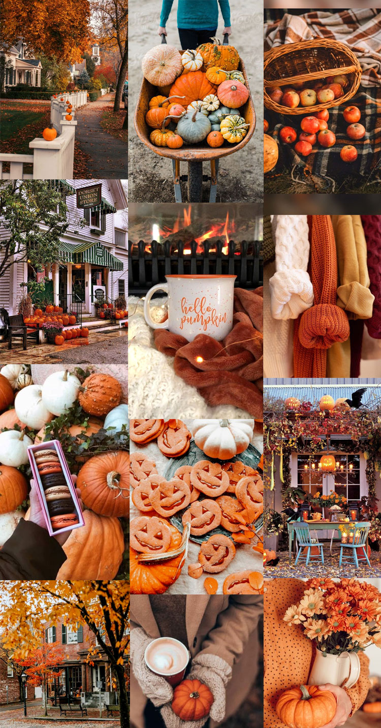 Autumn collage wallpapers hello pumpkin
