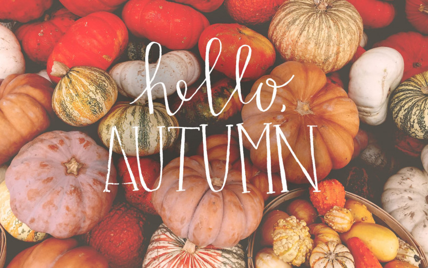 Hello autumn fall aesthetic desktop wallpapers