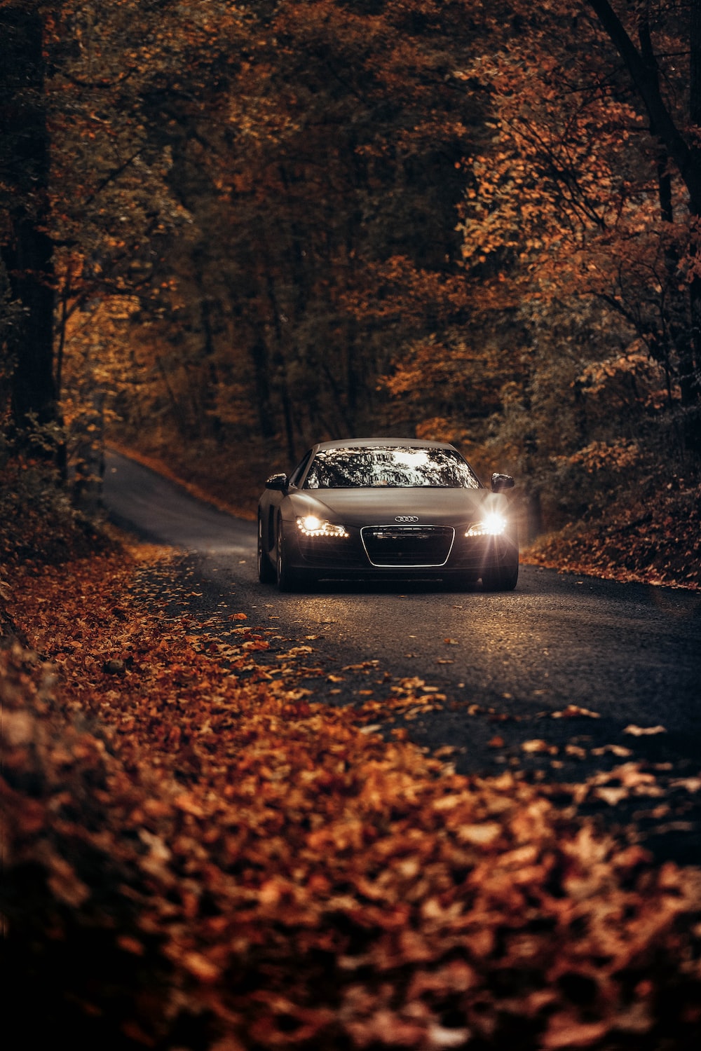Autumn car pictures download free images on