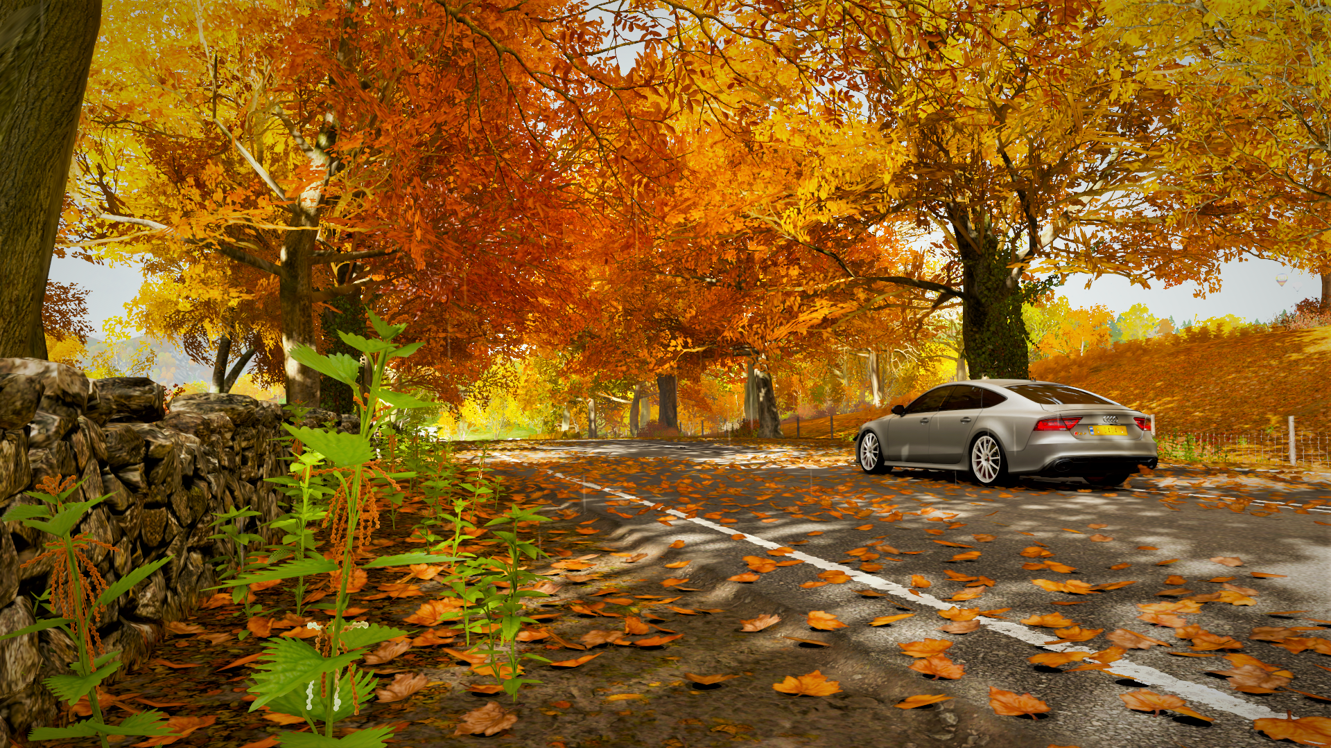 Car nature autumn x rwallpaper