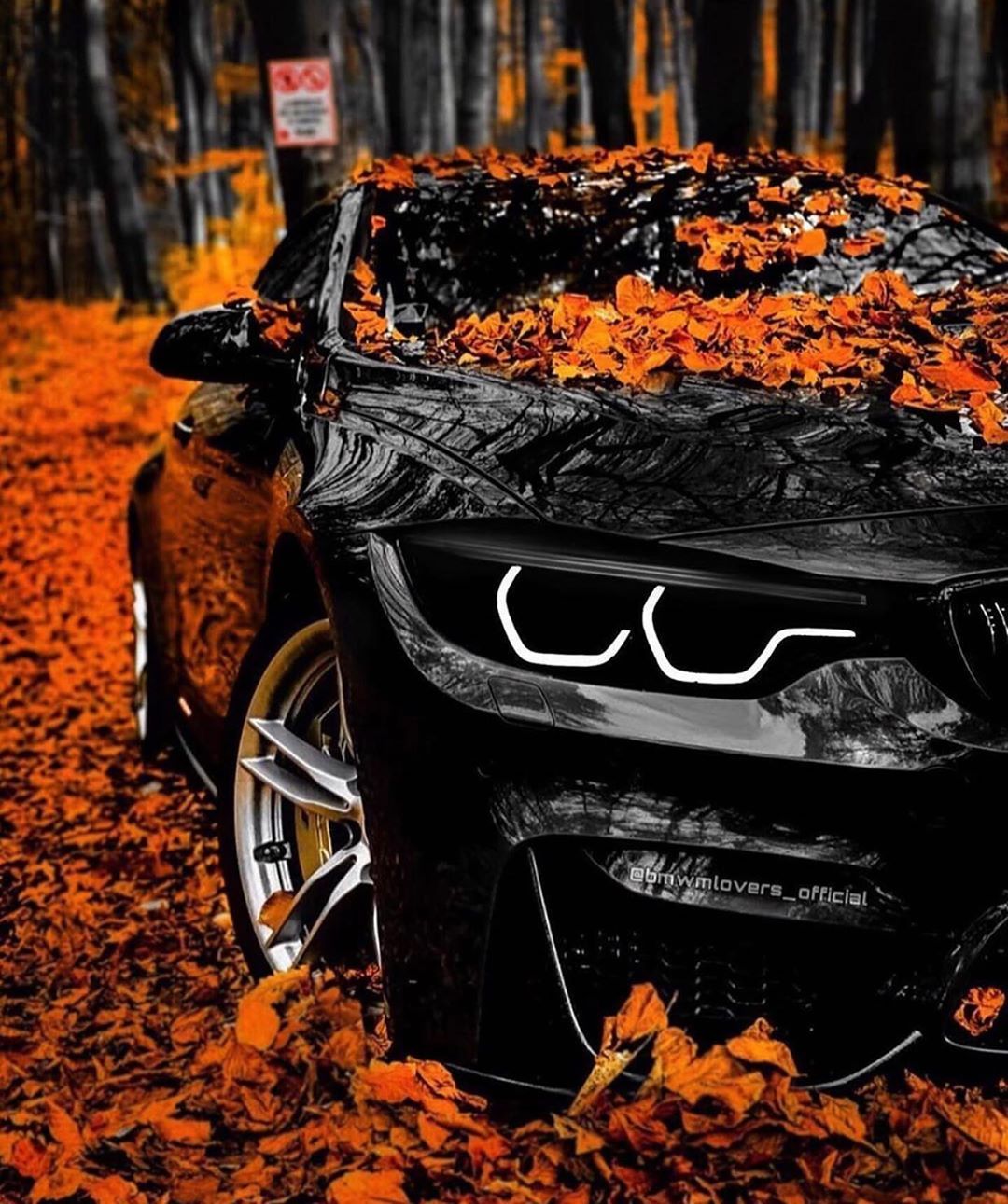 Autumn bmw wallpapers