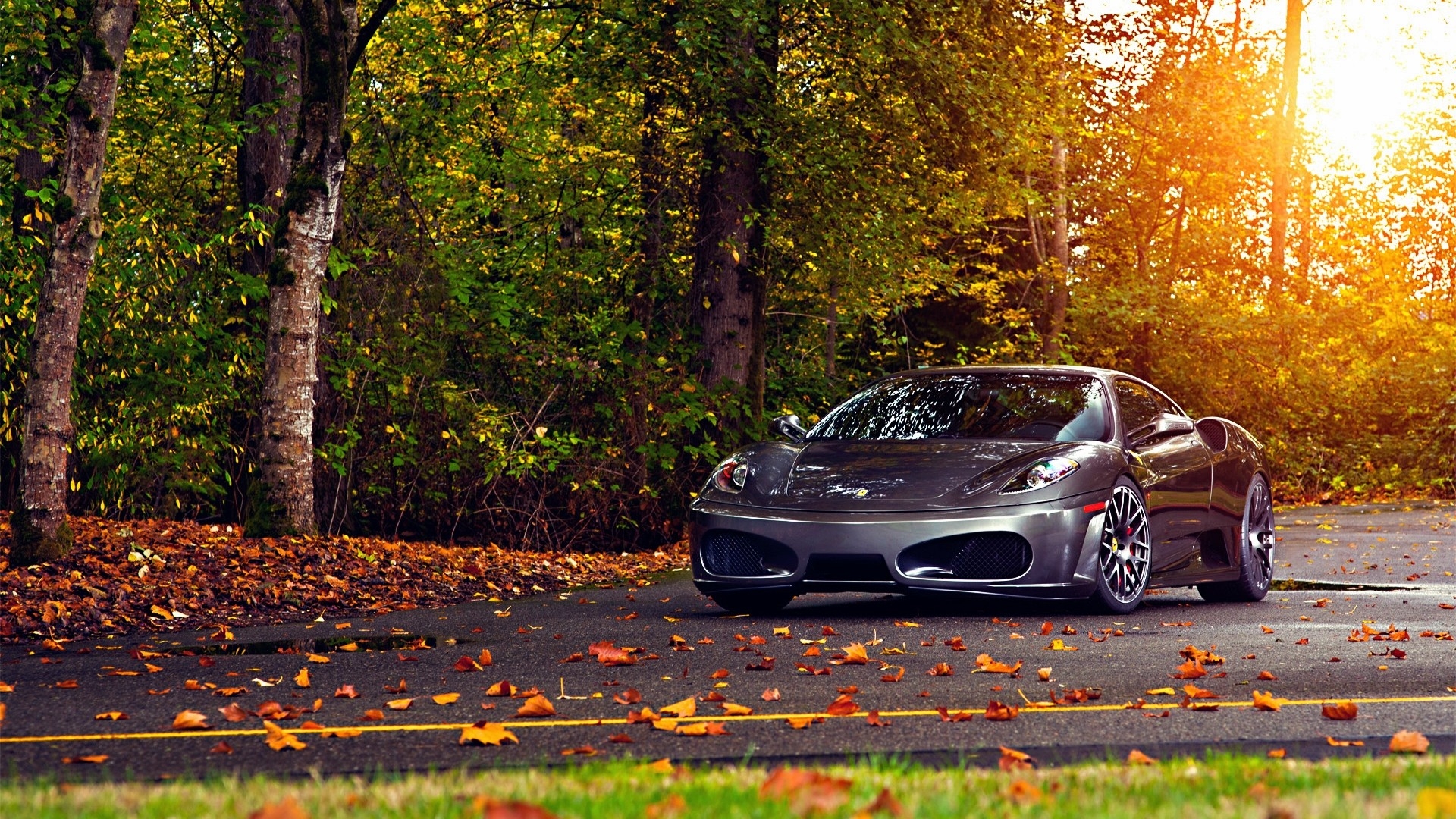 Ferrari f autumn hd cartoons k wallpapers images backgrounds photos and pictures
