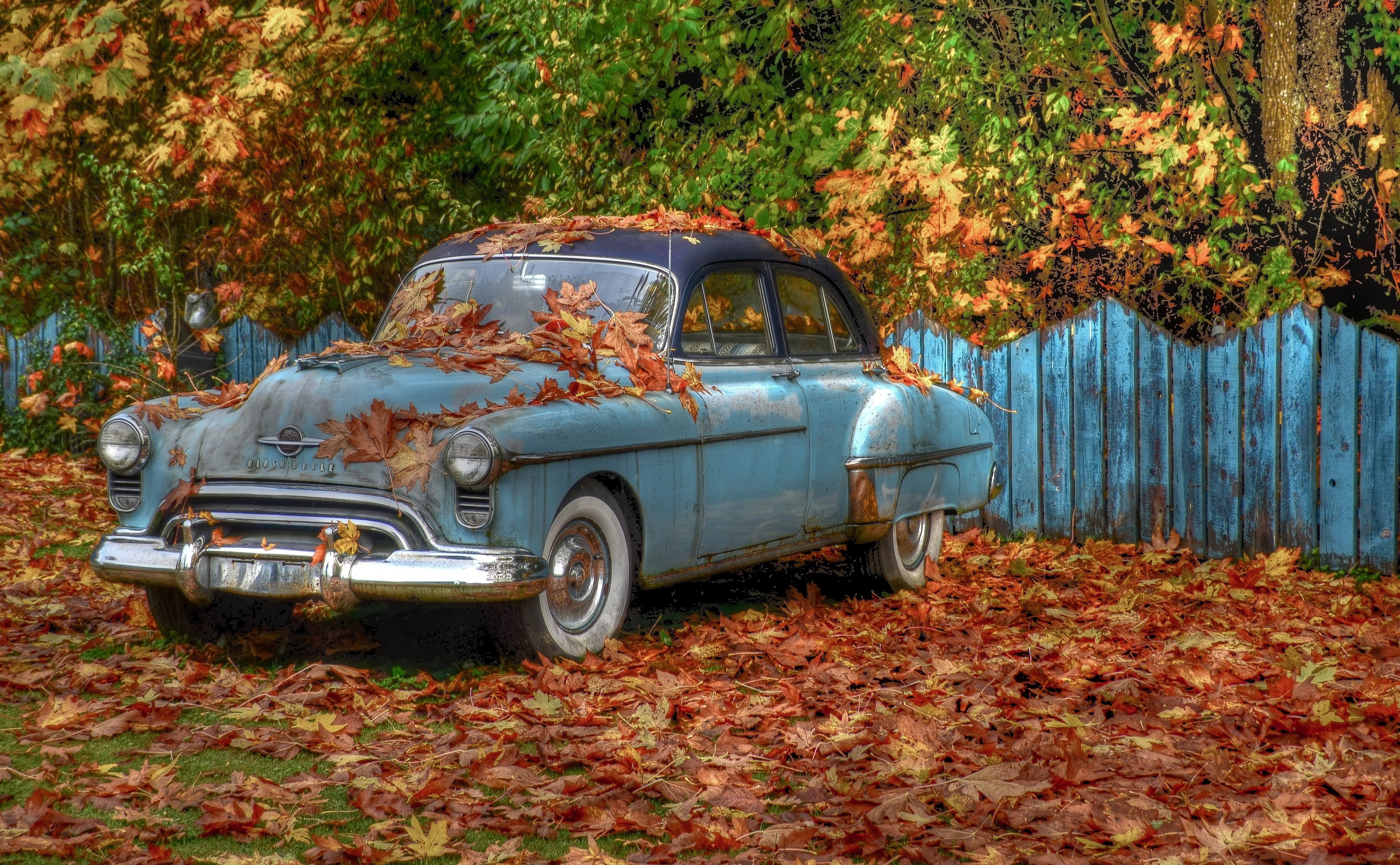 Fall is here blue and black vintage coupe motors classic cars k wallpaper hdwallpaper desktop oldsmobile classic cars fall is here