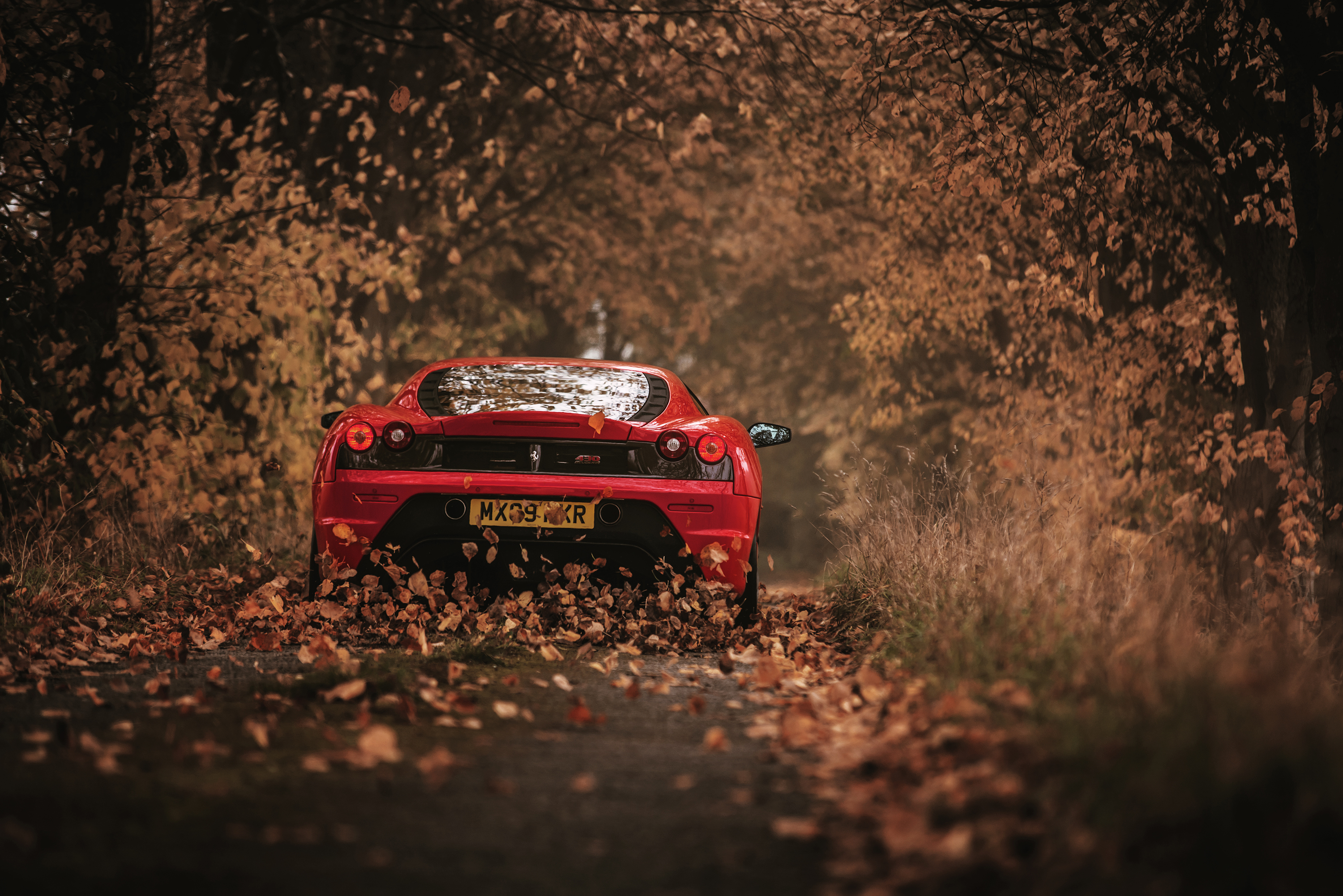 Ile ferrari cars back view racing scuderia autumn rear view download the picture for free