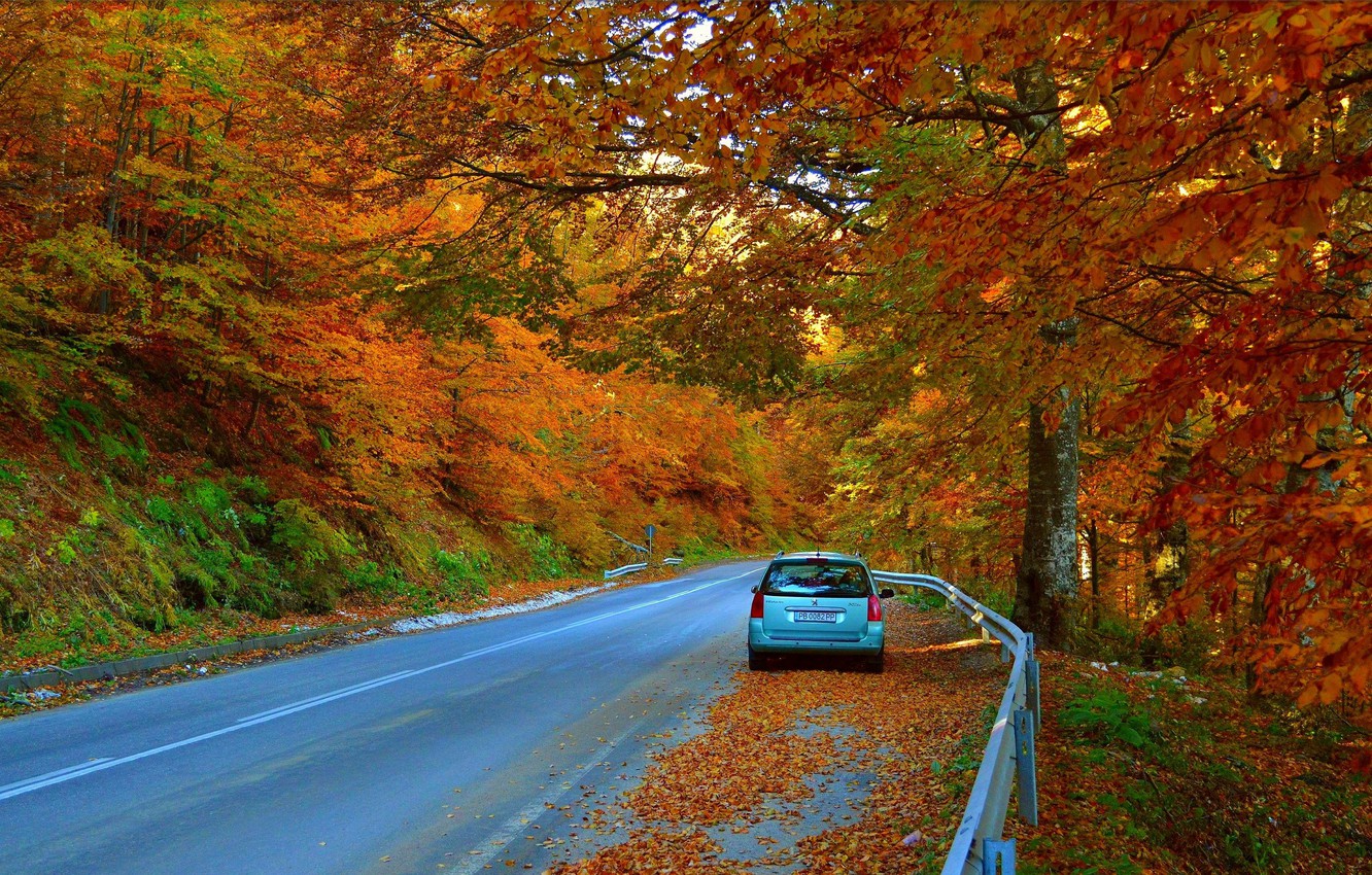 Wallpaper road autumn machine car fall foliage car autumn colors road leaves images for desktop section ðñðñððð