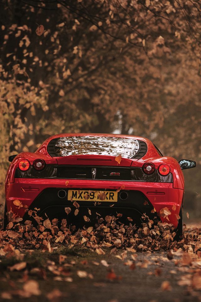 Ferrari autumn wallpaper ferrari autumn fall nature fondos de pantalla de coches coches deportivos fotos de autos deportivos