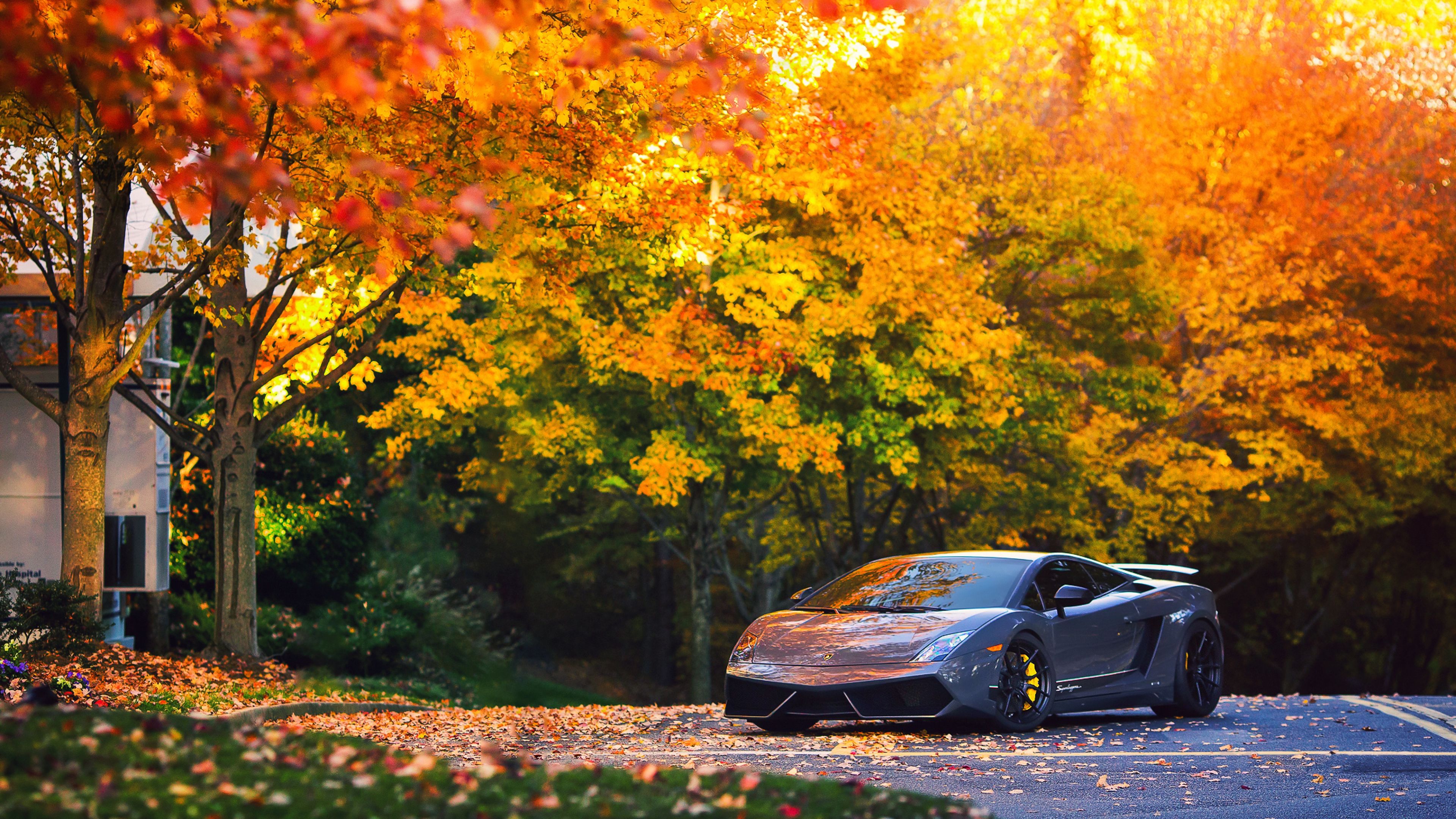 Autumn and car wallpapers