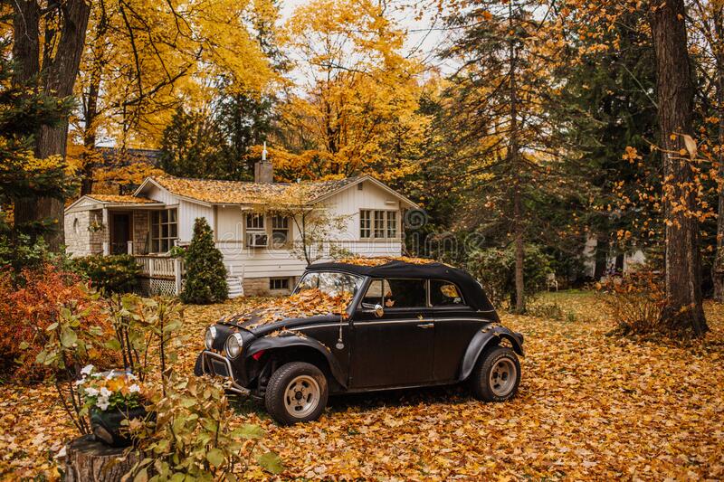 View of autumn leaves on a beetle car and on the ground with an old house background stock photo