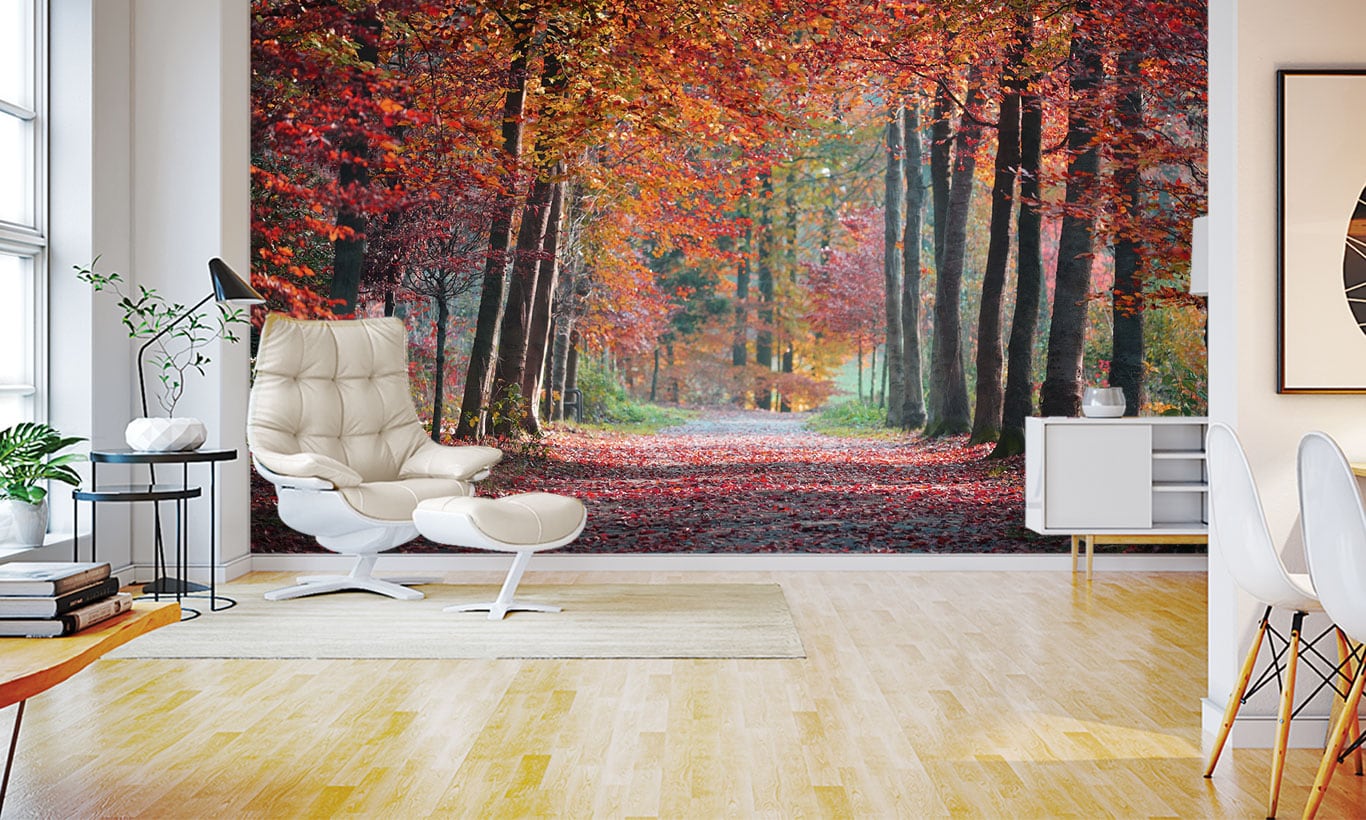 Stunning autumn forest walkway wallpaper marmalade art