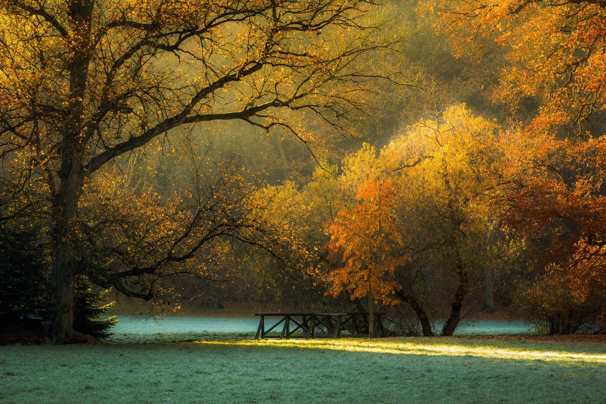 Landscape nature sunlight fall morning trees grass frost park czech republic foliage wallpapers hd desktop and mobile backgrounds